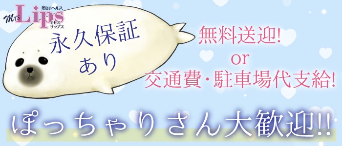 即日セクキャバ（おっパブ）体入求人情報はぴこ:すすきの　ミセスLIPS 求人情報