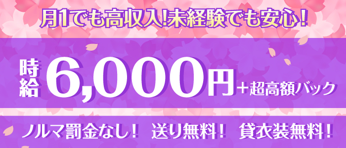 即日セクキャバ（おっパブ）体入求人情報はぴこ:蒲田 桜フェアリーテイル 求人情報