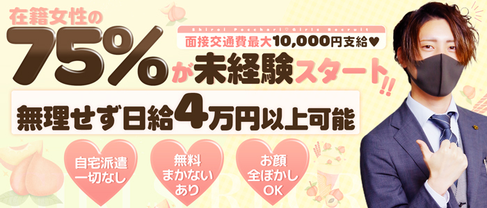 即日セクキャバ（おっパブ）体入求人情報はぴこ:鶯谷　白いぽっちゃりさん 求人情報